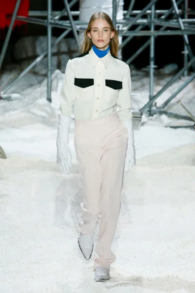 Look 26